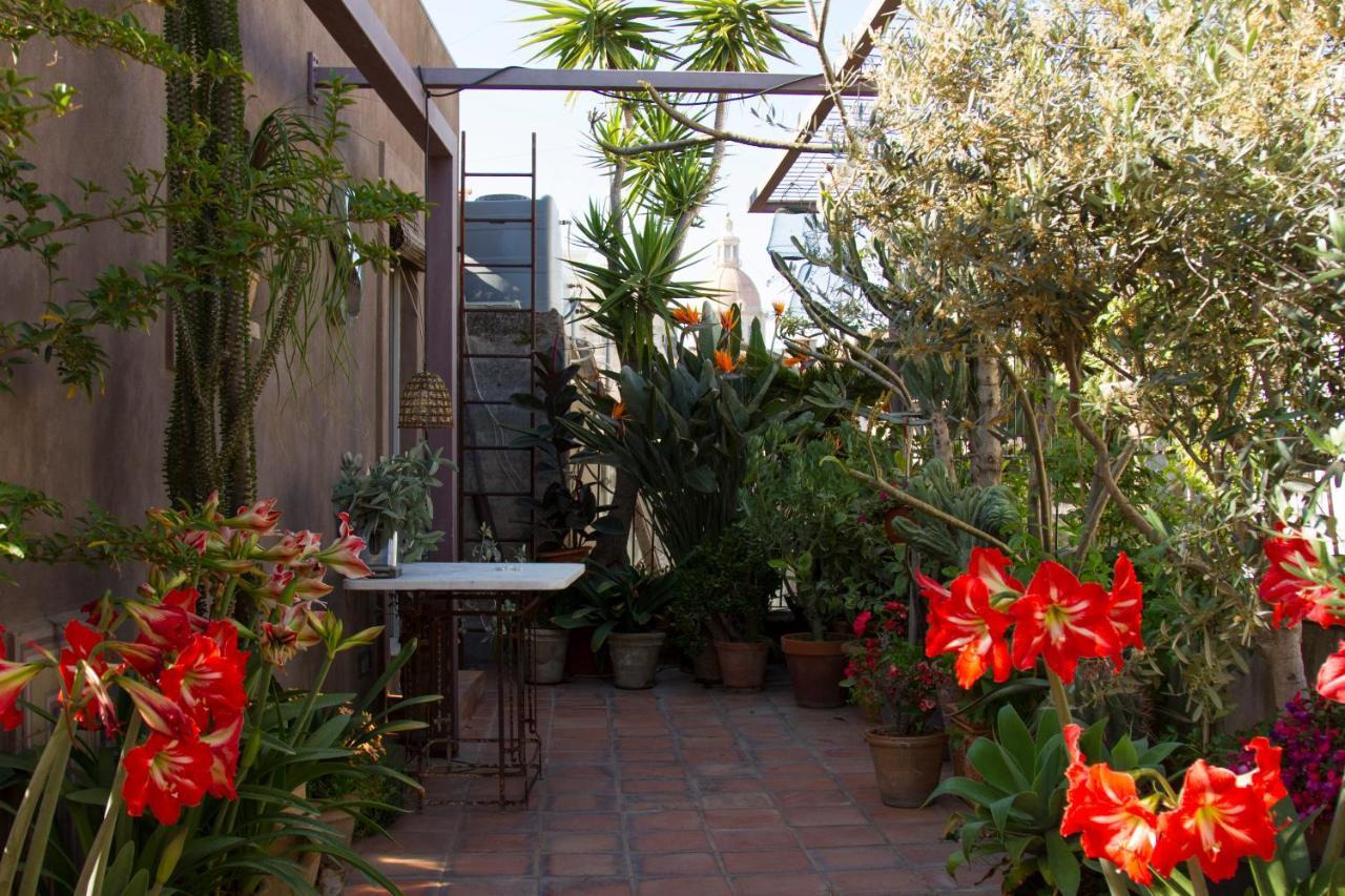 Tre Vie Apartment Con Terrazzo Giardino Pensile カターニア エクステリア 写真