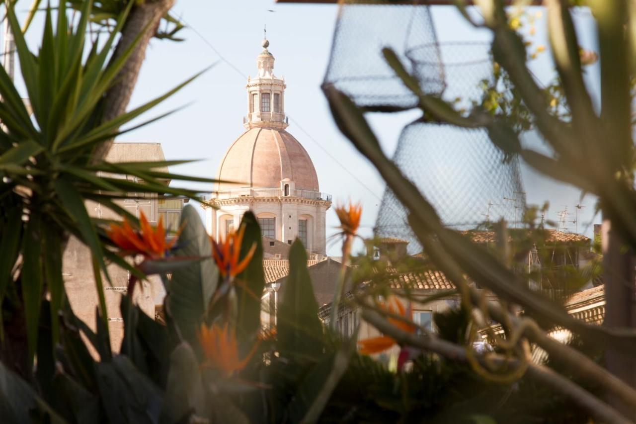 Tre Vie Apartment Con Terrazzo Giardino Pensile カターニア エクステリア 写真